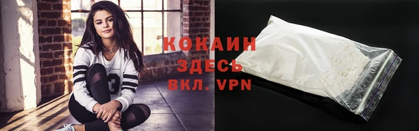 дмт Гусь-Хрустальный