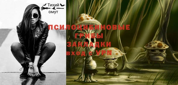 гидропоника Гусев