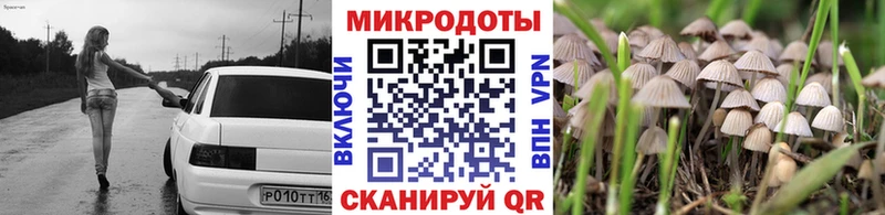 Купить  Ряжск  Галлюциногенные грибы Magic Shrooms 